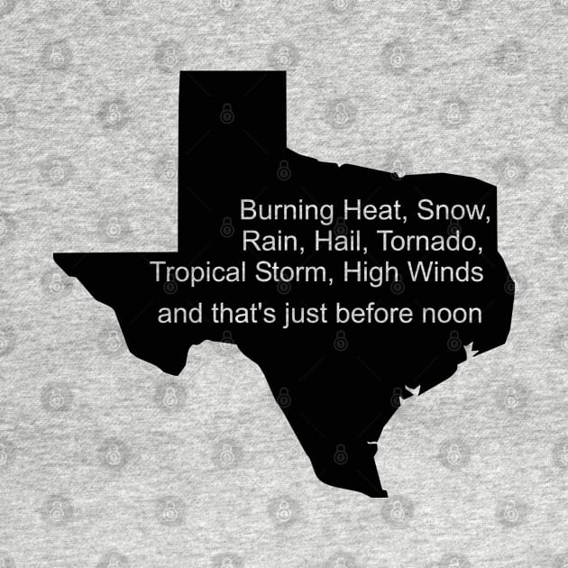 Texas Weather by LED Graphix